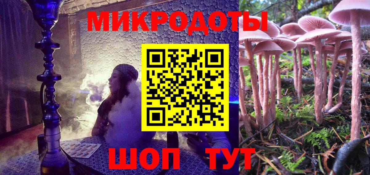 Псилоцибиновые грибы Psilocybe Мценск