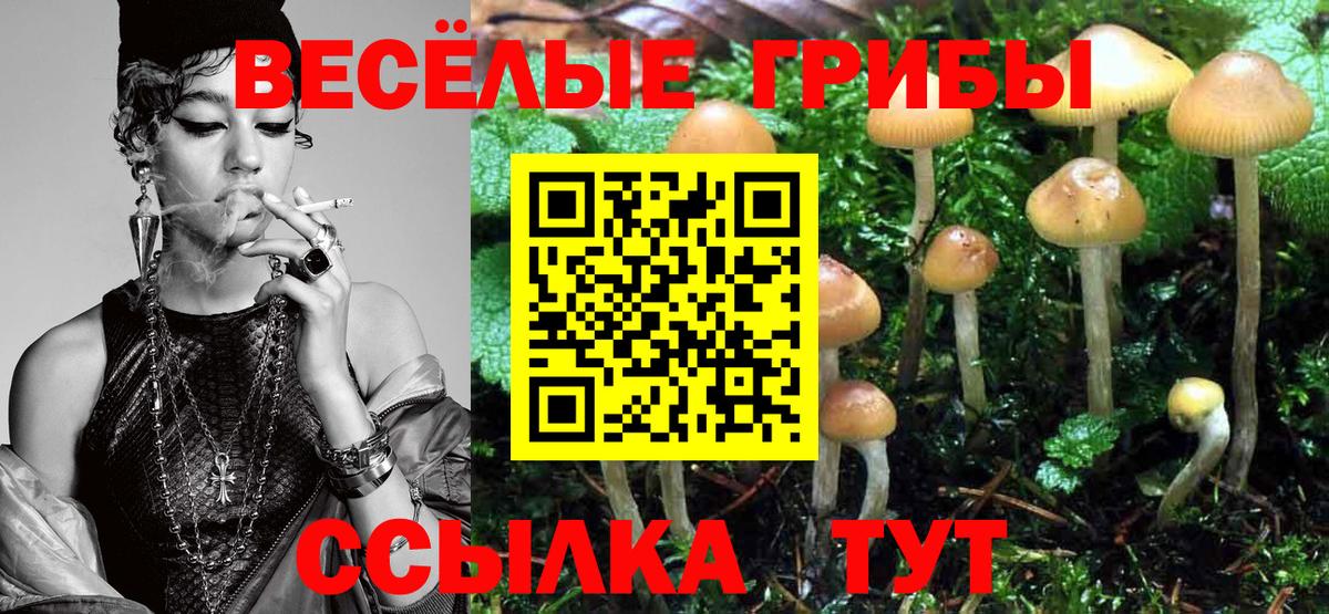 Мценск  Галлюциногенные грибы ЛСД  Галлюциногенные грибы Cubensis  Вход с VPN 